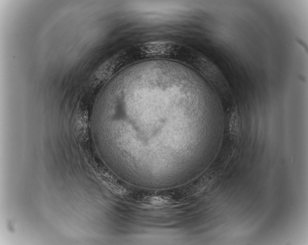 X0000102030737200807251350