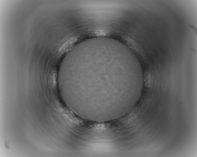 X0000102030740200807251351