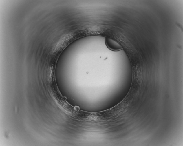 X0000102030742200807251351