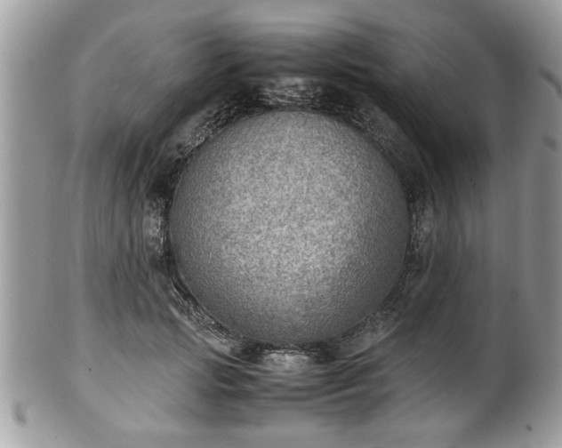 X0000102030749200807251351