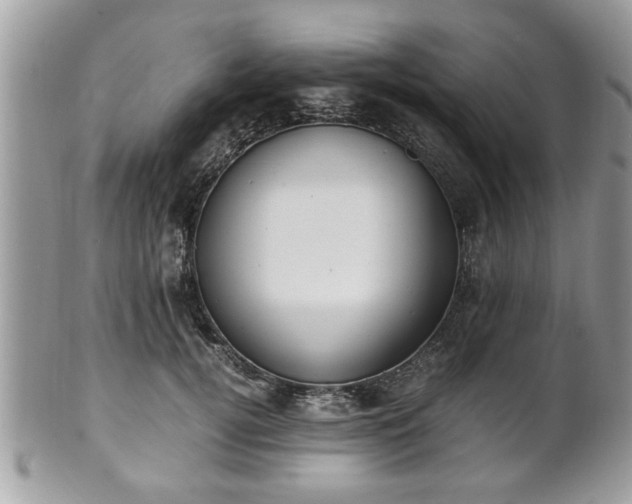 X0000102030752200807251351