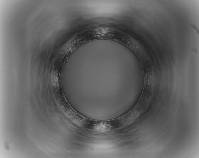 X0000102030754200807251351