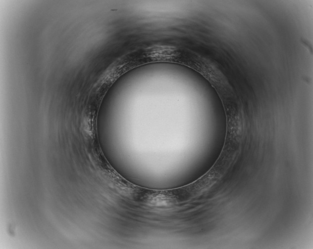 X0000102030755200807251351