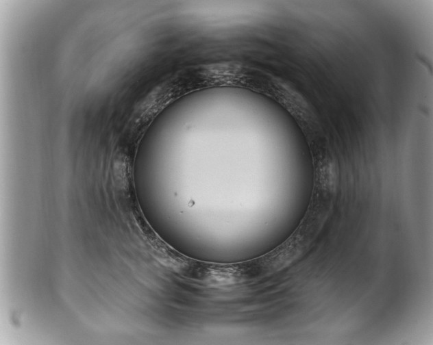 X0000102030757200807251351