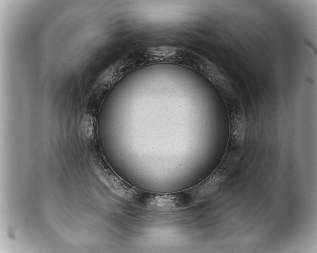 X0000102030758200807251351