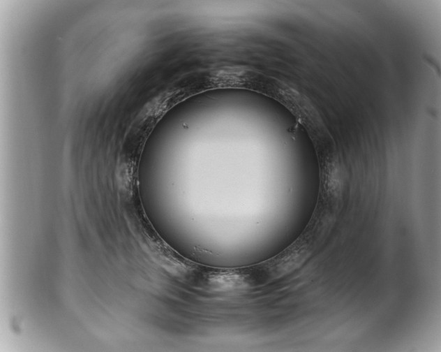 X0000102030759200807251351