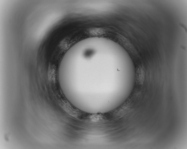 X0000102030762200807251351