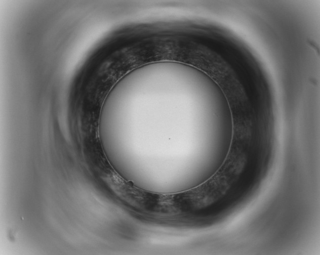 X0000102030766200807251351