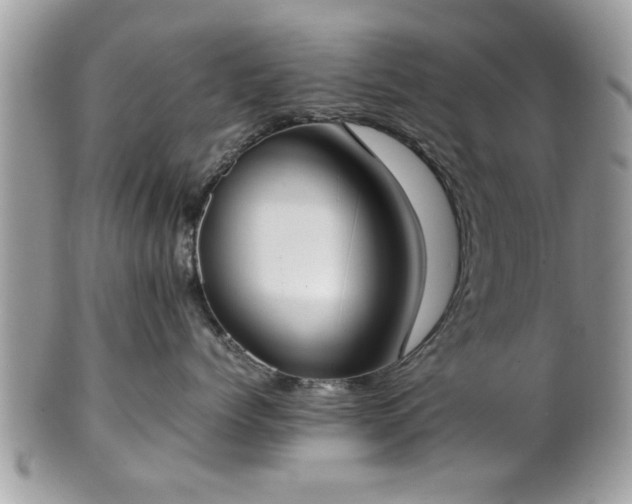 X0000102030768200807251351