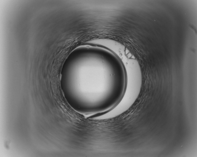 X0000102030769200807251350