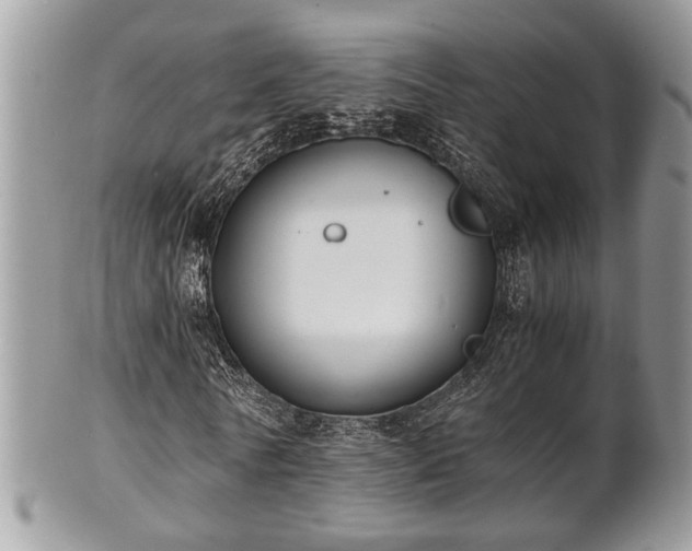 X0000102030770200807251350