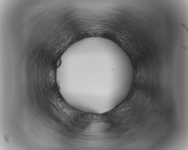 X0000102030772200807251350