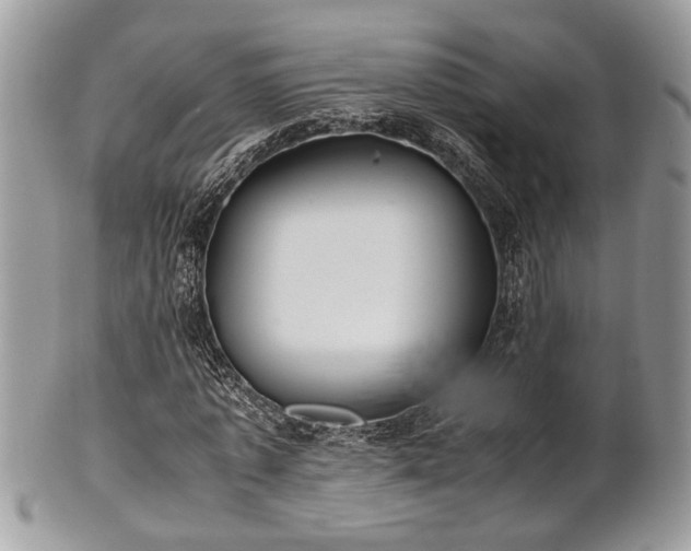 X0000102030773200807251350