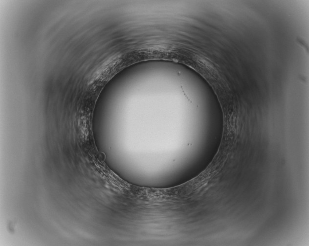 X0000102030774200807251350