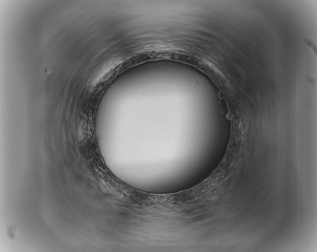 X0000102030775200807251350