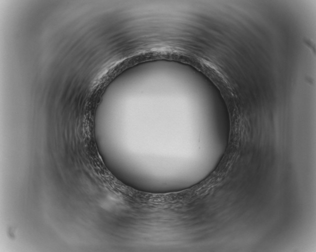 X0000102030776200807251350