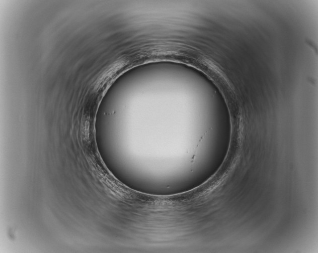 X0000102030777200807251350