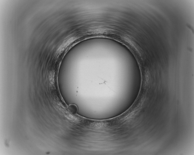 X0000102030778200807251350