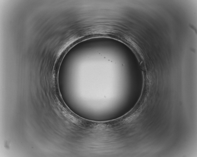 X0000102030779200807251350