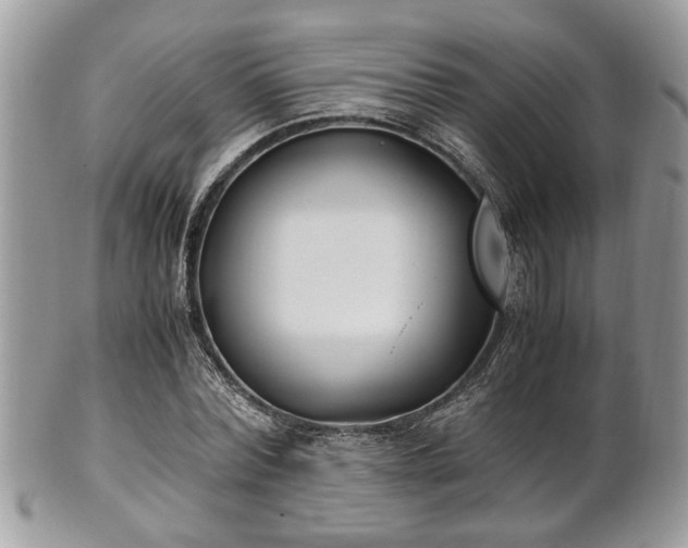 X0000102030780200807251350