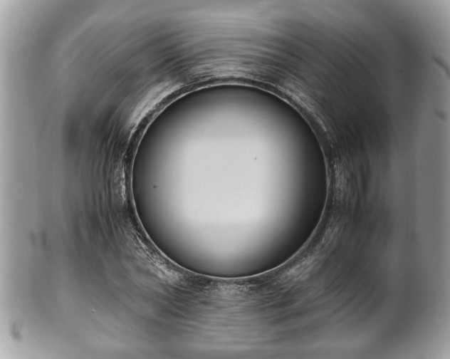 X0000102030782200807251350