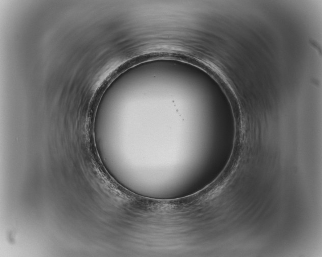 X0000102030783200807251350