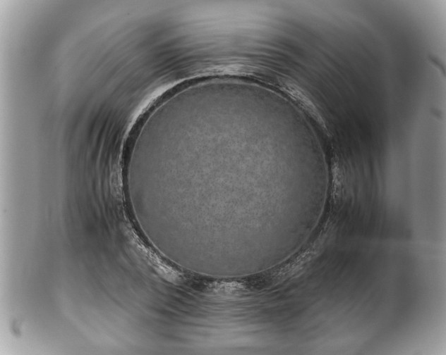 X0000102030784200807251350