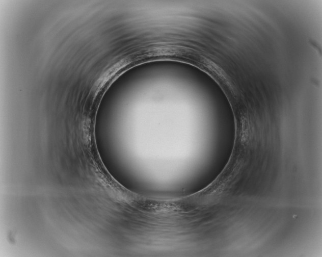 X0000102030786200807251350