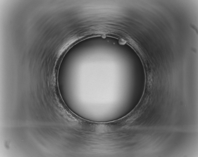 X0000102030787200807251350