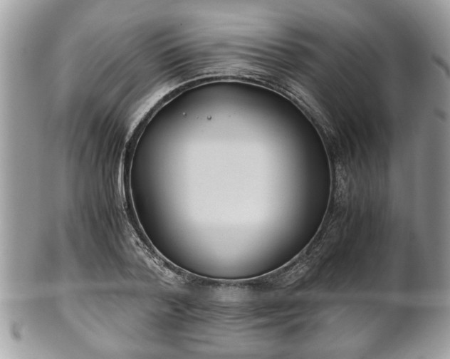 X0000102030788200807251350