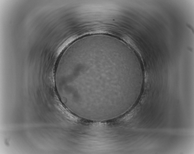 X0000102030789200807251350