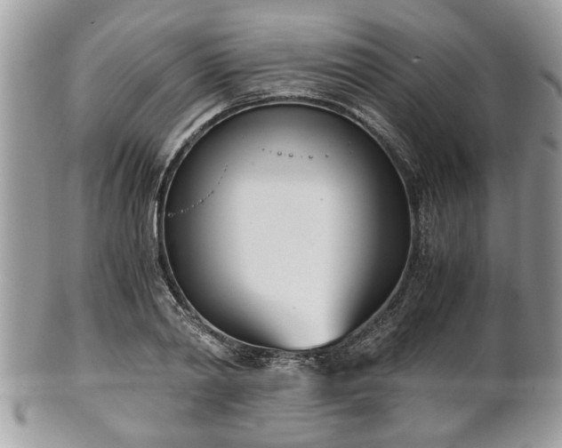 X0000102030790200807251350