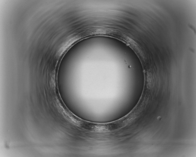 X0000102030794200807251350