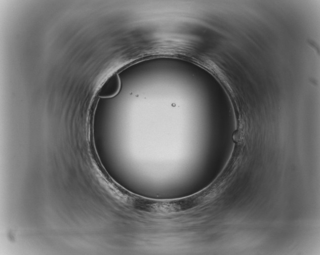 X0000102030795200807251350