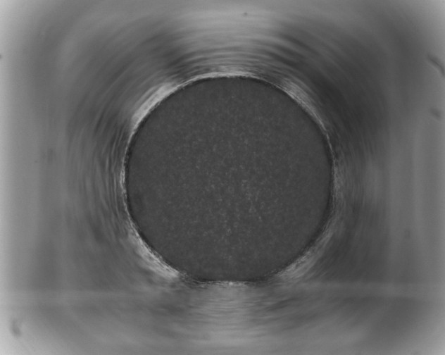 X0000102030797200807251350