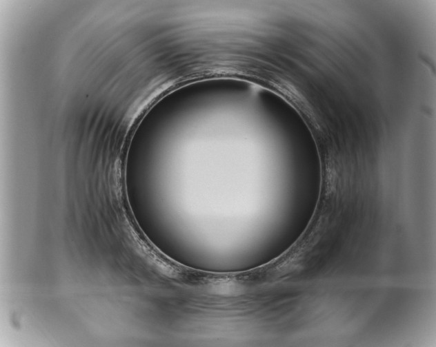 X0000102030798200807251350