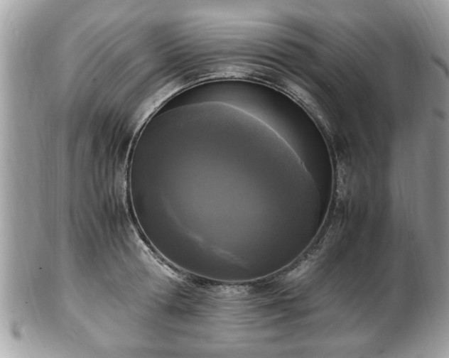 X0000102030802200807251350