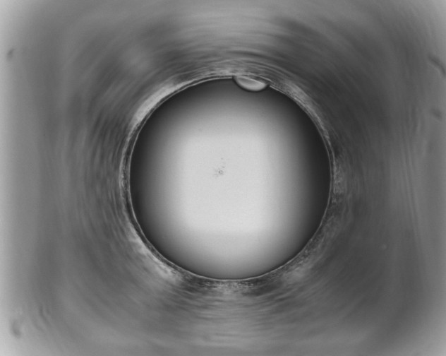 X0000102030803200807251350