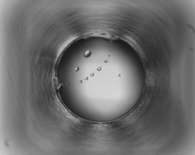 X0000102030804200807251350