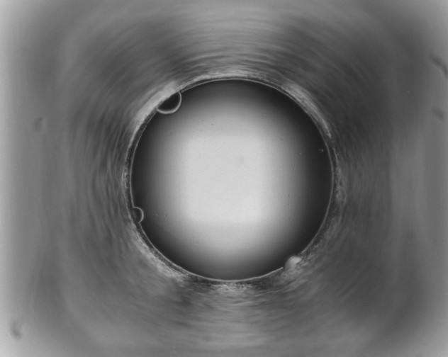 X0000102030805200807251350