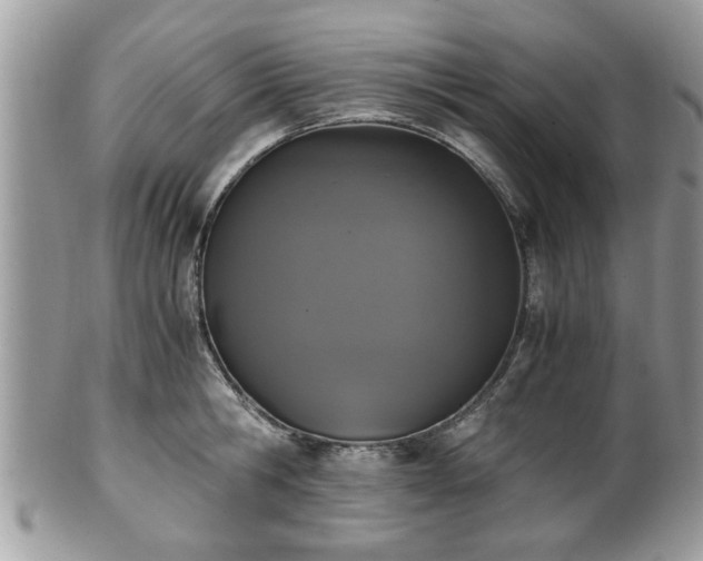 X0000102030806200807251350