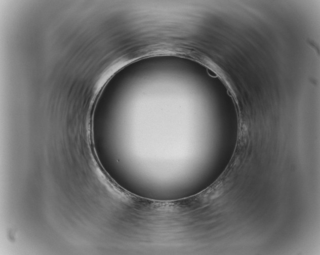 X0000102030811200807251350