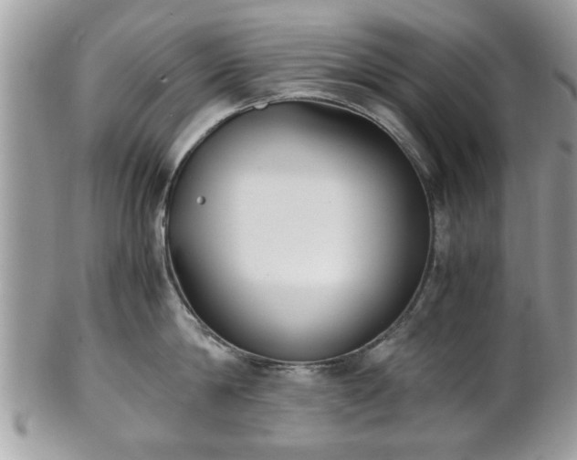 X0000102030814200807251350