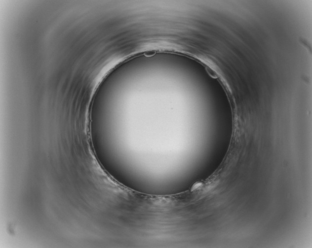 X0000102030815200807251350