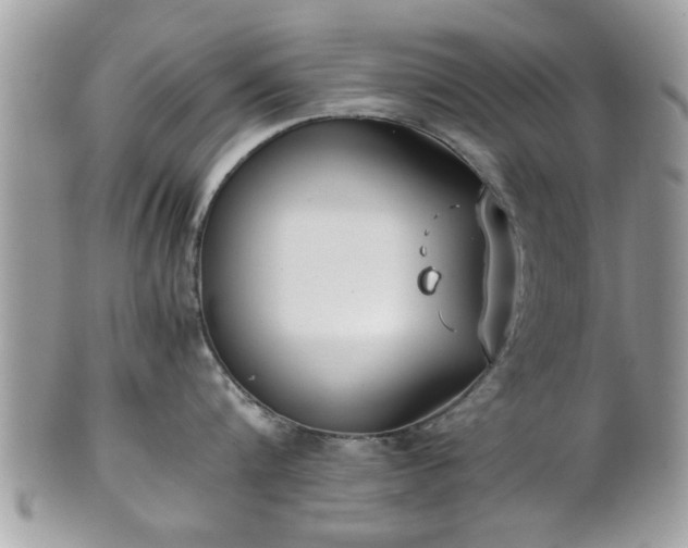 X0000102030816200807251350