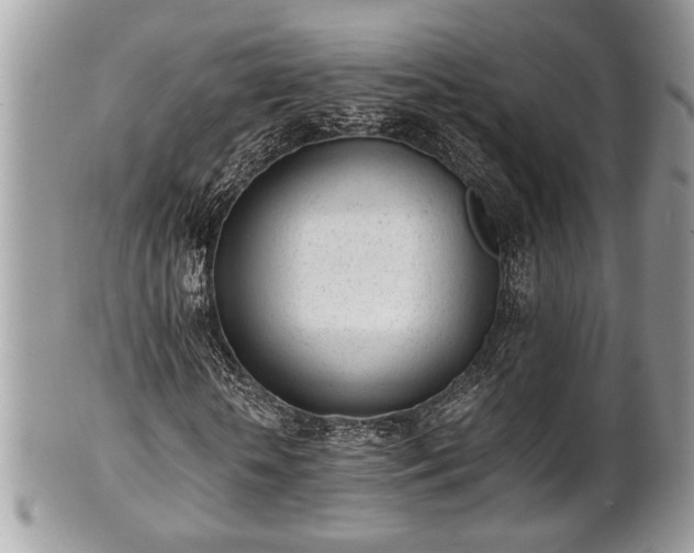 X0000102030818200807251349