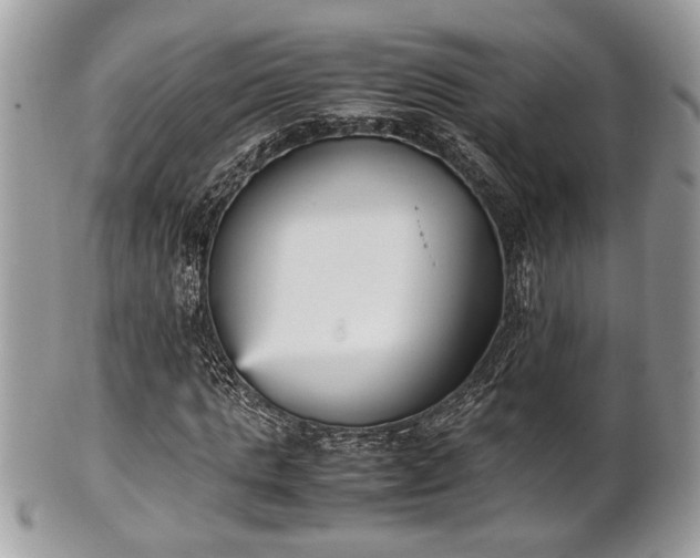 X0000102030821200807251349