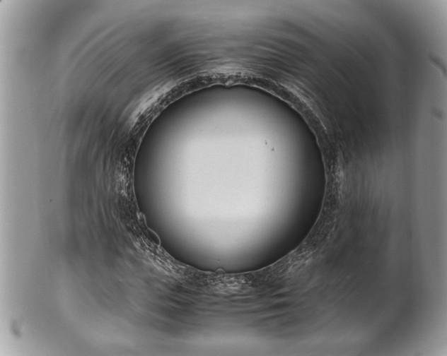 X0000102030823200807251349