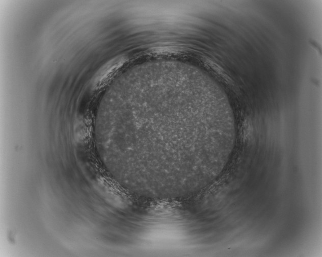 X0000102030824200807251349