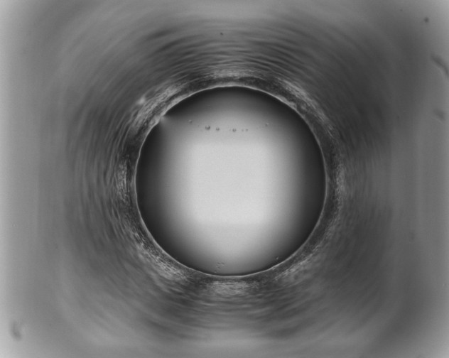 X0000102030825200807251349